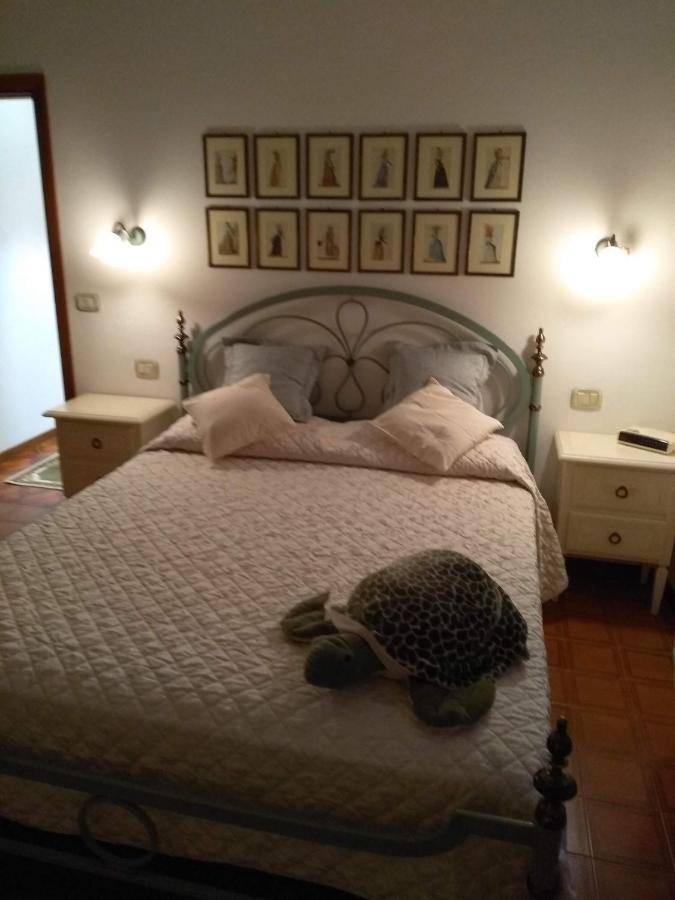 Casa Di Nonna Cate Apartment Montepulciano Bagian luar foto